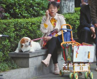 4月17日,成都新华公园,一市民在照顾着小狗
