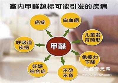 中介出租房频现甲醛超标 维权困难不少租客忍气吞声